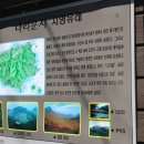 나리문구