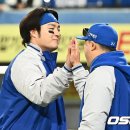 촉 이미지