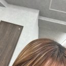 티켓구매, 개구리고기..? 이자카야 실망 후기, 일본 하카타 미용실 보탄 votan 후기, 돈키호테 렌즈 추천