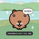 정재원피자 - 경주시 구매1길 21-2 | 쓰다가 버스 놓침