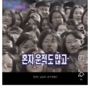 요즘 유튜브 쇼츠 보는 사람들 사이에서 안티 대거 생성중...jpg 이미지