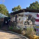 평화대공원 | 서울대공원 사자카페 ‘라이언카페’ 솔직 후기 | 아이가 제일 좋아한 곳