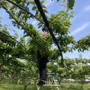 산포인력