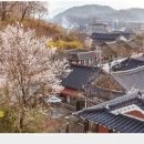 당일치기 여행 전주 가볼만한곳 전주 데이트 코스 이미지