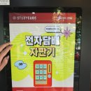 민트프랜트