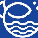 바다집 - 삼척시 임원항구로 6 | 바다집