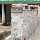 테일민박