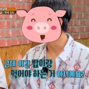 군계폐계닭 이미지