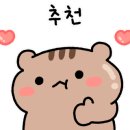 으뜸50안경신풍점 이미지