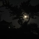 신흥수지 이미지