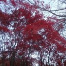 구룡소교량 이미지