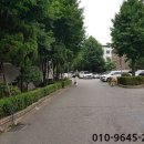 면목동-208 이미지