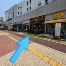 데이롱카페운정파크 | 운정 호수공원 맛집 파주 아점 매주 메뉴가 바뀌는 와동동 브런치 뷔페 후기
