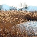 순천문학관 이미지