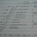 윌버의 사상과 통합적 진리관 (조효남) 이미지