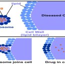 한나라한의원 이미지