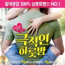 극적인 하룻밤 이미지