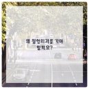 마포공덕튼튼본정형외과의원 이미지