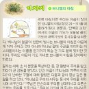 브니엘의아침 이미지