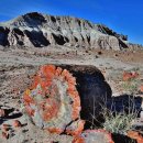 (주)석화 이미지