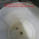 영광크린 이미지