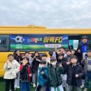 우리동네 하백 태권도 이미지