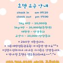 세인트동물병원 이미지