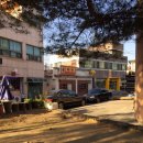 광성주유소 이미지