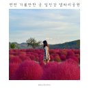 연천 가볼만한 곳 임진강 댑싸리공원 | 노을시간 후기 | 포토존 | 주차 | 개화현황