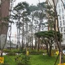 반도10차공인중개사사무소 이미지