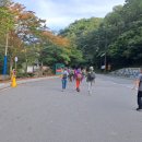 청량사 산사음악회 | 청량사 산사음악회 관람하러 봉화 청량사 가는길(등산 코스, 소요시간)