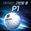 리빙스크린골프 이미지