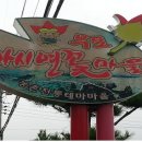 우포가시연꽃마을 이미지