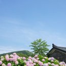 성이시돌젊음의집 이미지