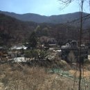 정태진 묘 이미지