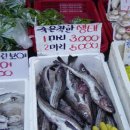 생선가게 Daum카페