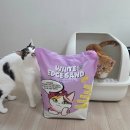 엣지 | 고양이모래 추천, 화이트엣지 벤토나이트 솔직 후기 (응고력·먼지 비교)