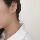 몽슈아 이미지