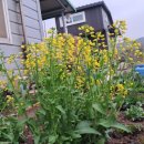 재삼농장 이미지