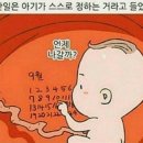 조이마망