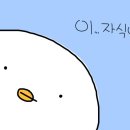 칭다오양꼬치 이미지