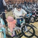 [삼천리 자전거 딩고 20인치] 6살 7살 자전거 선물 추천 │ 핑크색 어린이 자전거 후기 │ 색상 및 가격...