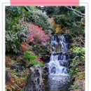 석부작박물관 이미지