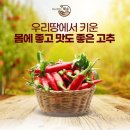 영주연합농협미곡처리장 이미지