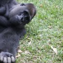 작은친구 이미지