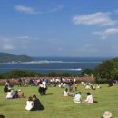 선아일랜드 이미지