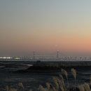 씨사이드파크 관리소 | 인천 반려견 산책 장소 추천 - 영종도 중산동 씨사이드 파크 및 영종도 레일바이크 방문후기
