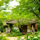 아미미술관 이미지