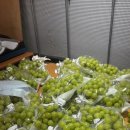 샤인하우스 가동 이미지