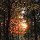 천금공인중개사사무소 이미지